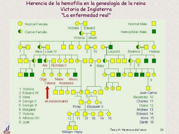 Herencia de la hemofilia en la genealogía de la reina Victoria de Inglaterra “La