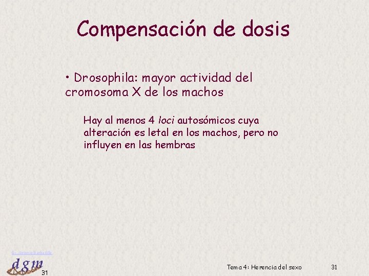 Compensación de dosis • Drosophila: mayor actividad del cromosoma X de los machos ay