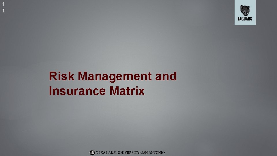 1 1 Risk Management and Insurance Matrix 