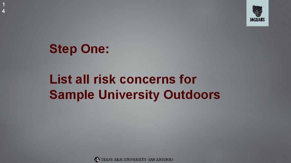 1 4 Step One: List all risk concerns for Sample University Outdoors 