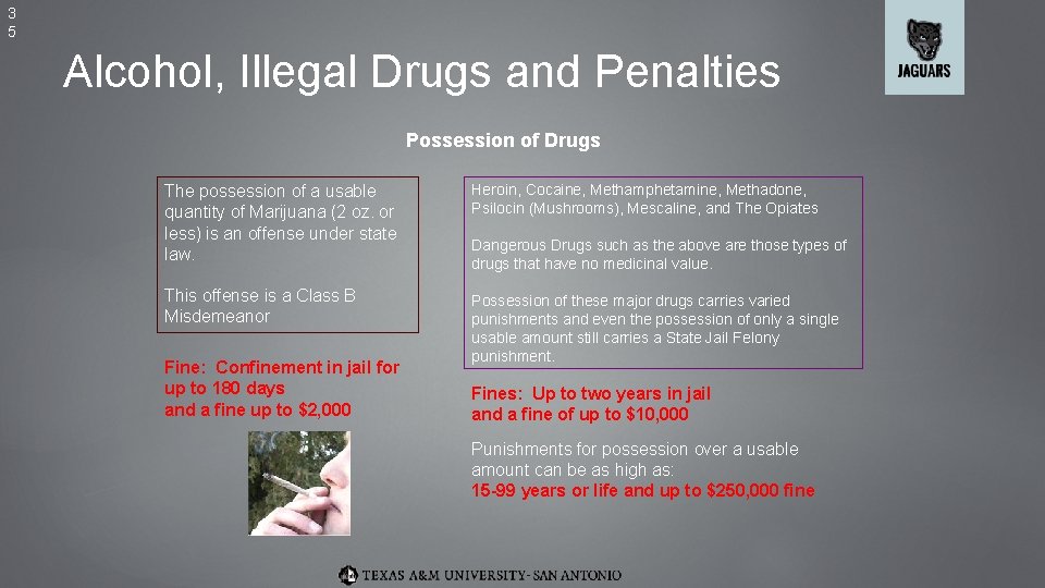 3 5 Alcohol, Illegal Drugs and Penalties Possession of Drugs The possession of a