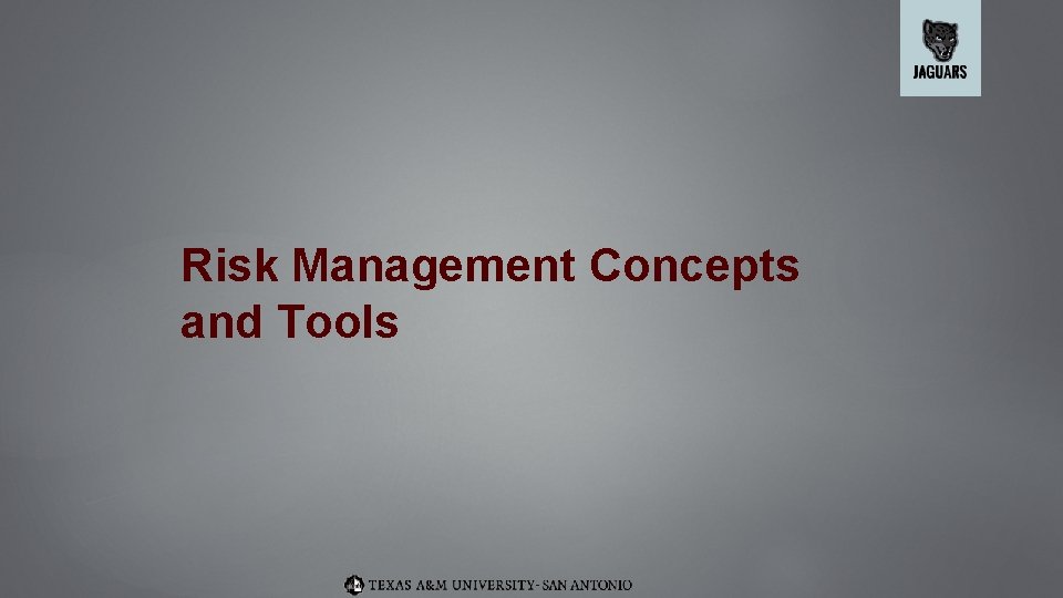 Risk Management Concepts and Tools 