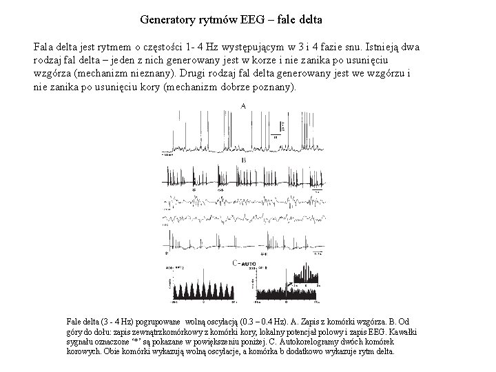 Generatory rytmów EEG – fale delta Fala delta jest rytmem o częstości 1 -