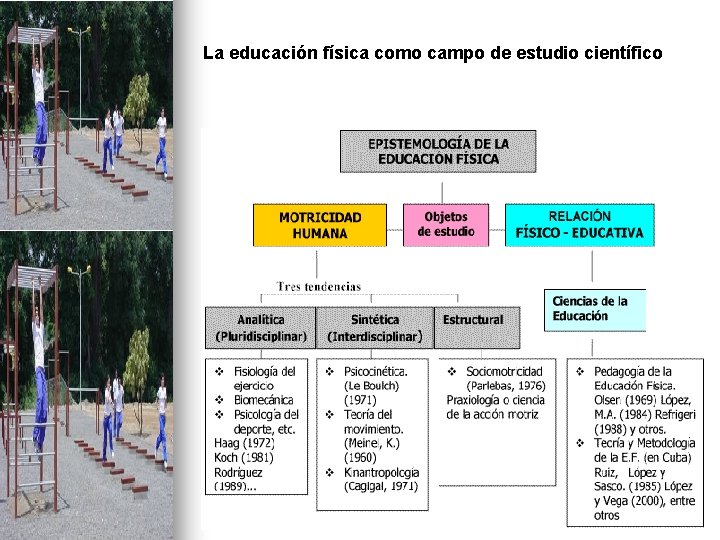 La educación física como campo de estudio científico 