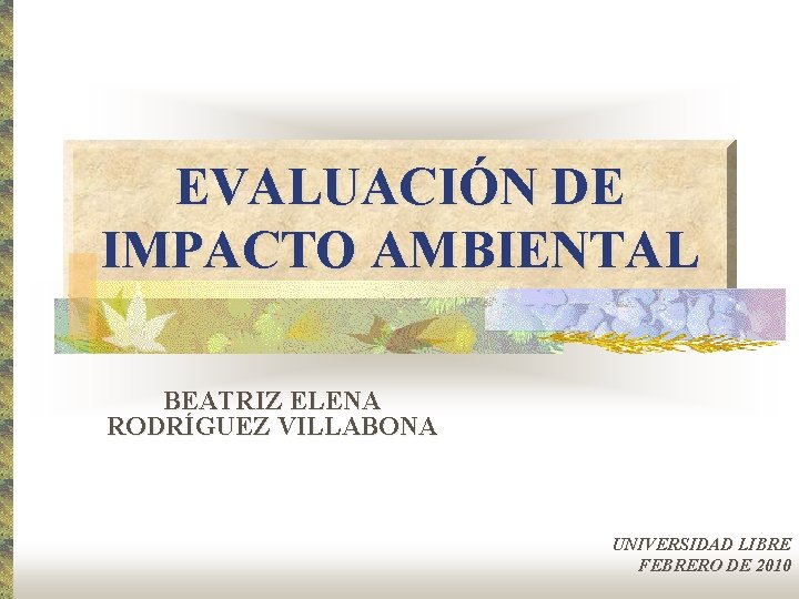 EVALUACIÓN DE IMPACTO AMBIENTAL BEATRIZ ELENA RODRÍGUEZ VILLABONA UNIVERSIDAD LIBRE FEBRERO DE 2010 