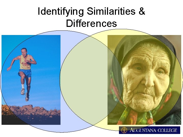 Identifying Similarities & Differences 