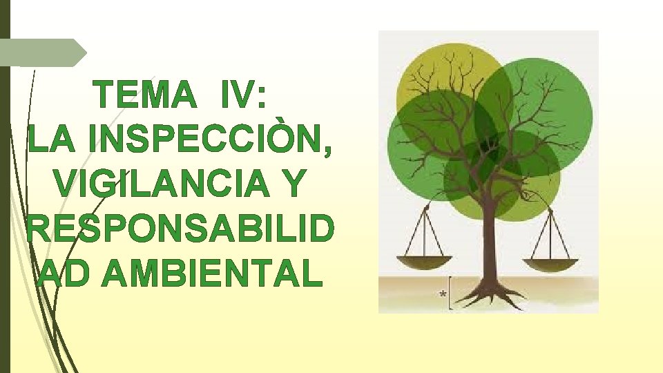 TEMA IV: LA INSPECCIÒN, VIGILANCIA Y RESPONSABILID AD AMBIENTAL 