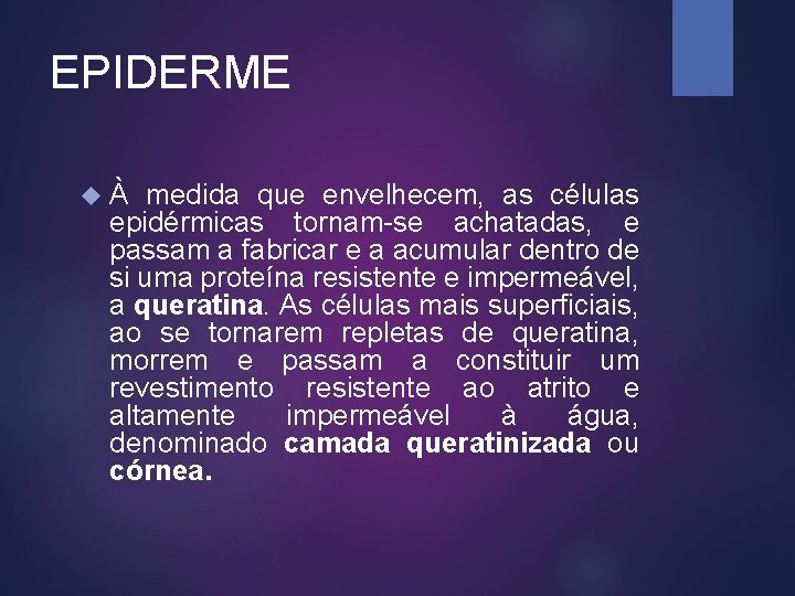 EPIDERME À medida que envelhecem, as células epidérmicas tornam-se achatadas, e passam a fabricar