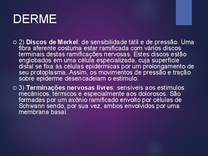 DERME 2) Discos de Merkel: de sensibilidade tátil e de pressão. Uma fibra aferente