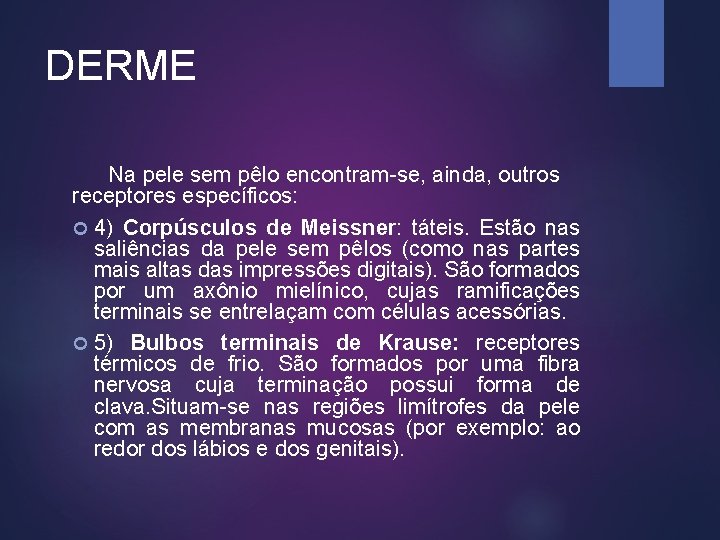 DERME Na pele sem pêlo encontram-se, ainda, outros receptores específicos: 4) Corpúsculos de Meissner: