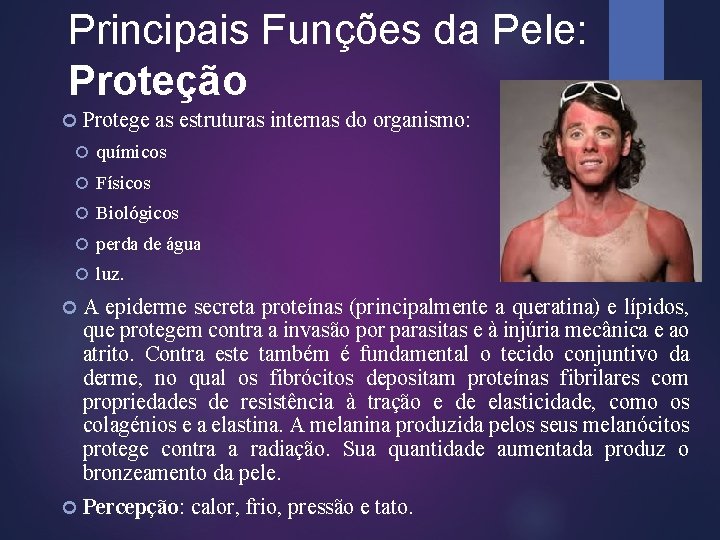 Principais Funções da Pele: Proteção Protege as estruturas internas do organismo: químicos Físicos Biológicos