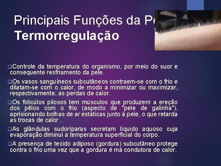 Principais Funções da Pele: Termorregulação q. Controle da temperatura do organismo, por meio do