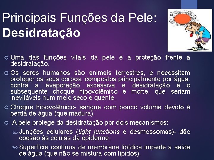 Principais Funções da Pele: Desidratação Uma das funções vitais da pele é a proteção