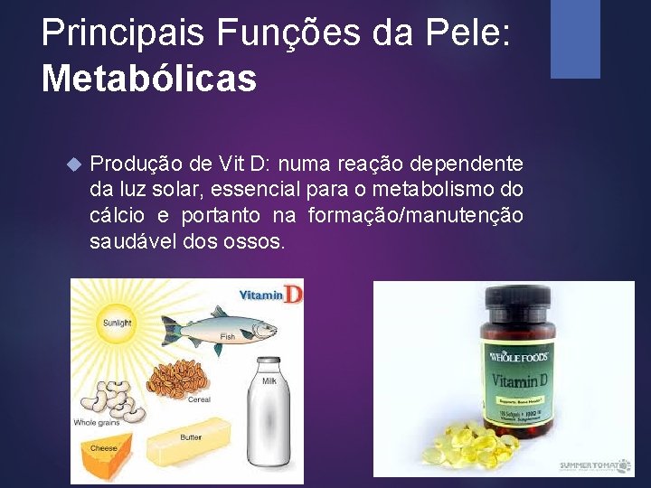 Principais Funções da Pele: Metabólicas Produção de Vit D: numa reação dependente da luz