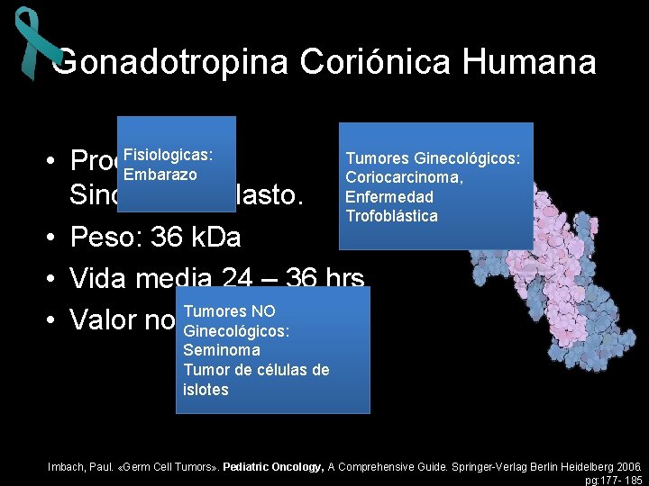 Gonadotropina Coriónica Humana Fisiologicas: Tumores Ginecológicos: • Producción: Embarazo Coriocarcinoma, Sincitiotrofoblasto. Enfermedad Trofoblástica •