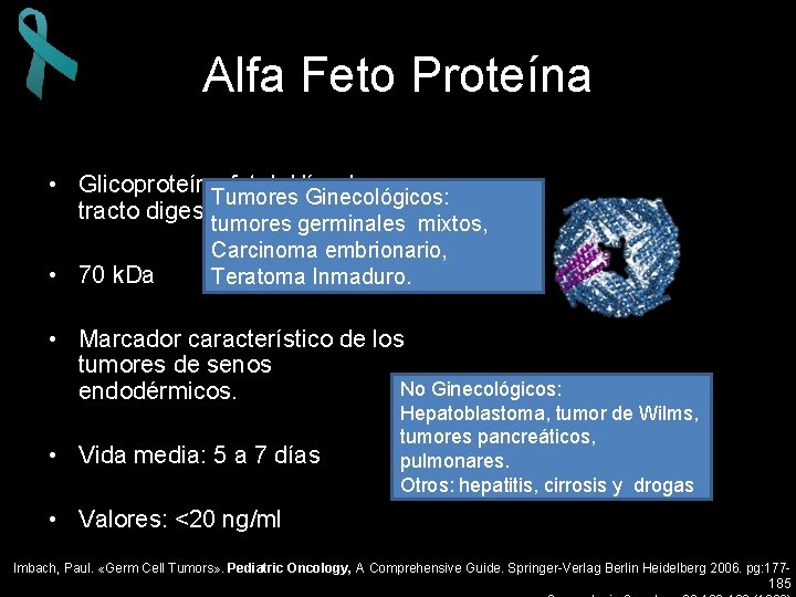 Alfa Feto Proteína • Glicoproteína. Tumores fetal: Hígado y Ginecológicos: tracto digestivo. tumores germinales
