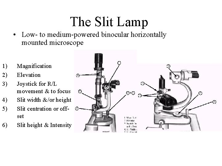 The Slit Lamp • Low- to medium-powered binocular horizontally mounted microscope 1) 2) 3)