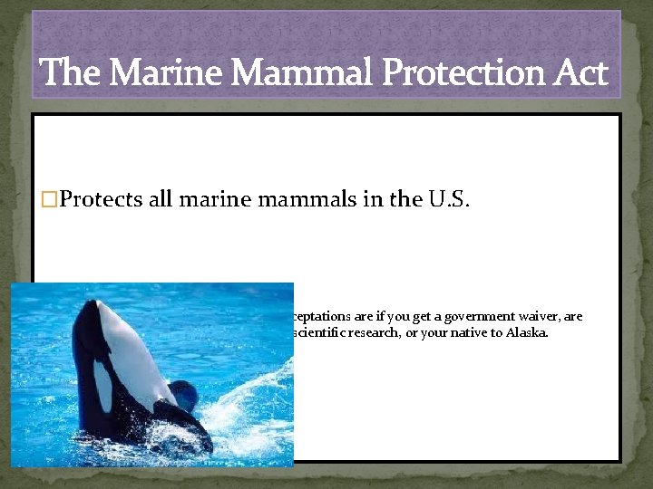 The Marine Mammal Protection Act �Protects all marine mammals in the U. S. ?