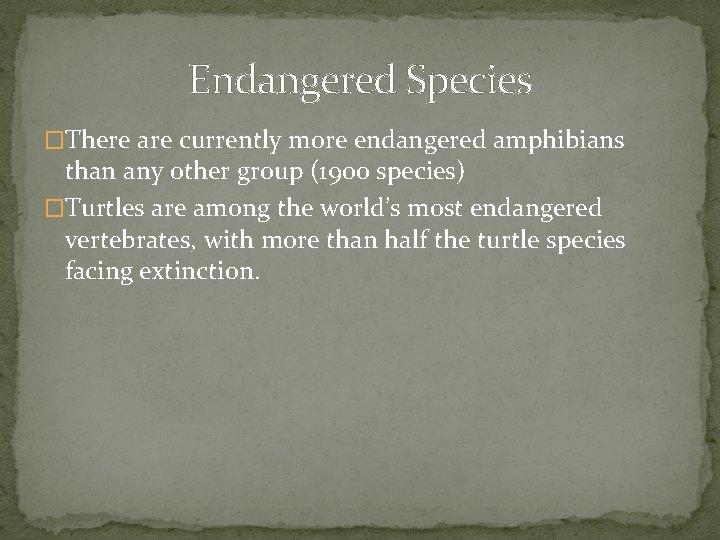 Endangered Species �There are currently more endangered amphibians than any other group (1900 species)