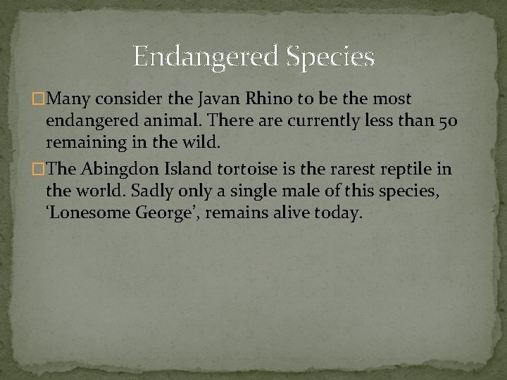 Endangered Species �Many consider the Javan Rhino to be the most endangered animal. There