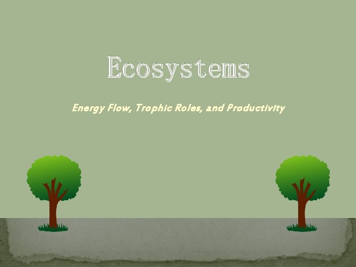 Ecosystems Energy Flow, Trophic Roles, and Productivity 