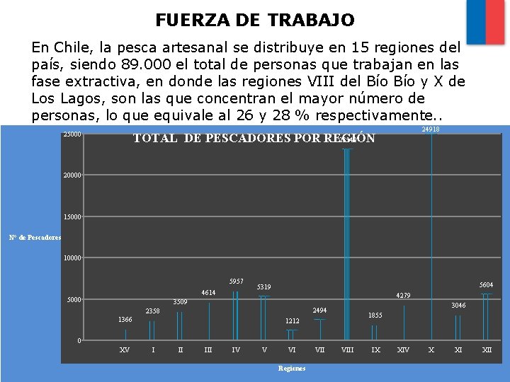 FUERZA DE TRABAJO En Chile, la pesca artesanal se distribuye en 15 regiones del