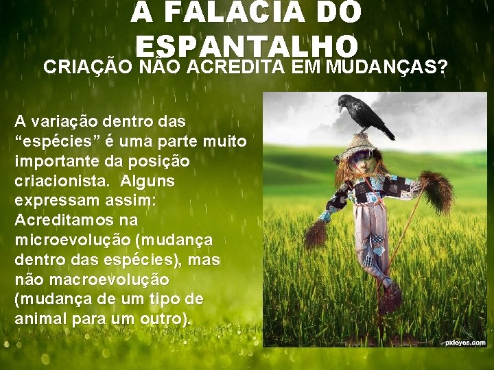 A FALÁCIA DO ESPANTALHO CRIAÇÃO NÃO ACREDITA EM MUDANÇAS? A variação dentro das “espécies”