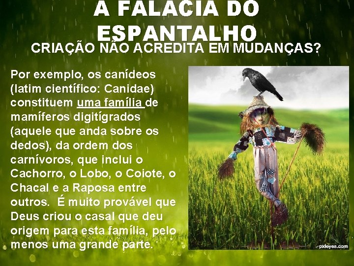 A FALÁCIA DO ESPANTALHO CRIAÇÃO NÃO ACREDITA EM MUDANÇAS? Por exemplo, os canídeos (latim