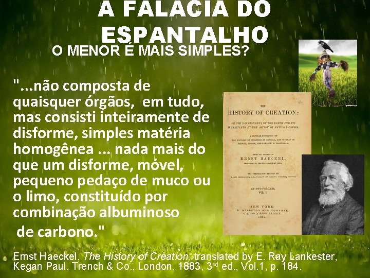 A FALÁCIA DO ESPANTALHO O MENOR É MAIS SIMPLES? ". . . não composta