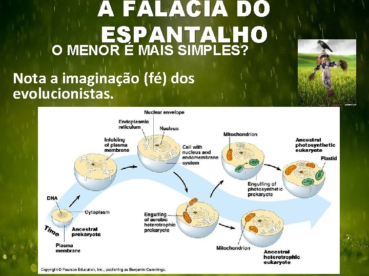 A FALÁCIA DO ESPANTALHO O MENOR É MAIS SIMPLES? Nota a imaginação (fé) dos