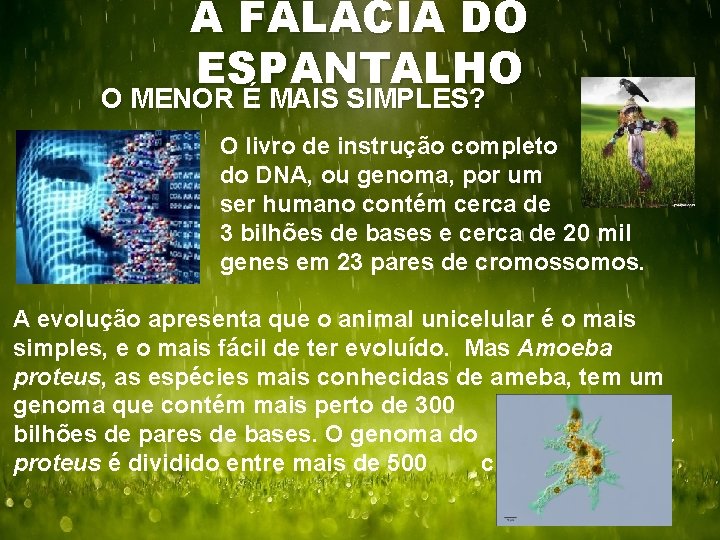 A FALÁCIA DO ESPANTALHO O MENOR É MAIS SIMPLES? O livro de instrução completo