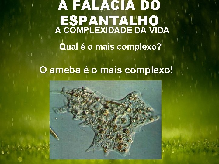 A FALÁCIA DO ESPANTALHO A COMPLEXIDADE DA VIDA Qual é o mais complexo? O