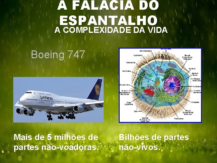 A FALÁCIA DO ESPANTALHO A COMPLEXIDADE DA VIDA Boeing 747 Mais de 5 milhões