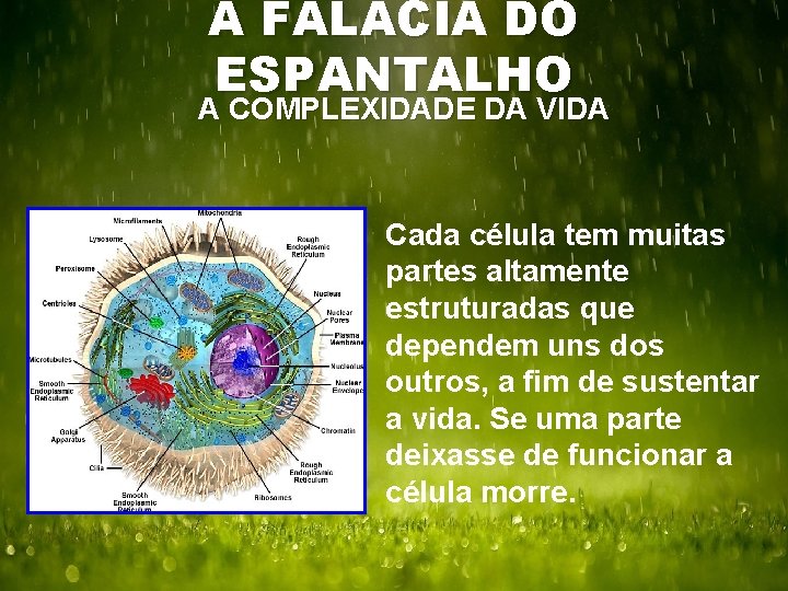 A FALÁCIA DO ESPANTALHO A COMPLEXIDADE DA VIDA Cada célula tem muitas partes altamente