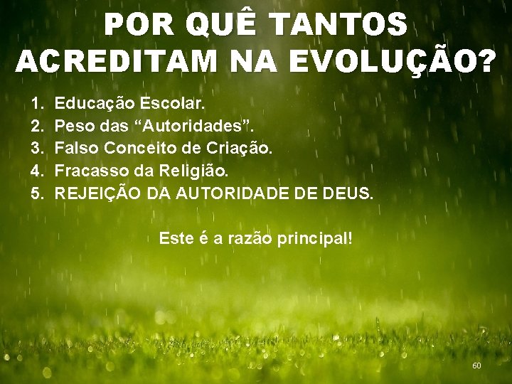 POR QUÊ TANTOS ACREDITAM NA EVOLUÇÃO? 1. 2. 3. 4. 5. Educação Escolar. Peso