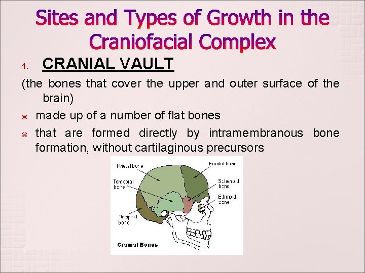 Sites and Types of Growth in the Craniofacial Complex 1. CRANIAL VAULT (the bones