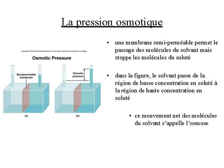 La pression osmotique • une membrane semi-perméable permet le passage des molécules du solvant La pression osmotique • une membrane semi-perméable permet le passage des molécules du solvant