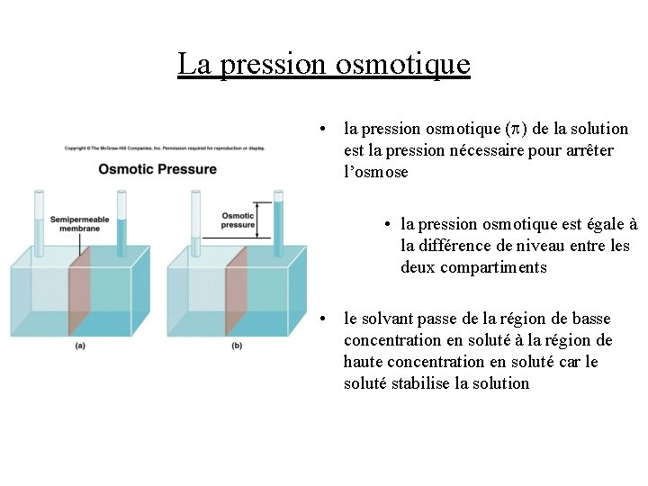 La pression osmotique • la pression osmotique ( ) de la solution est la La pression osmotique • la pression osmotique ( ) de la solution est la