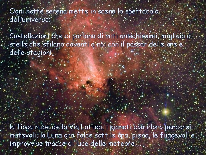 Ogni notte serena mette in scena lo spettacolo dell’universo: Costellazioni che ci parlano di