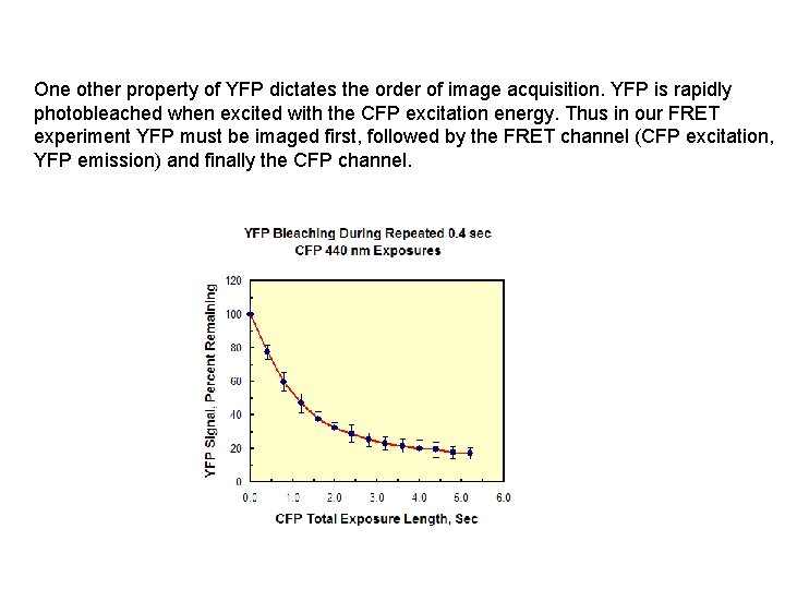 One other property of YFP dictates the order of image acquisition. YFP is rapidly