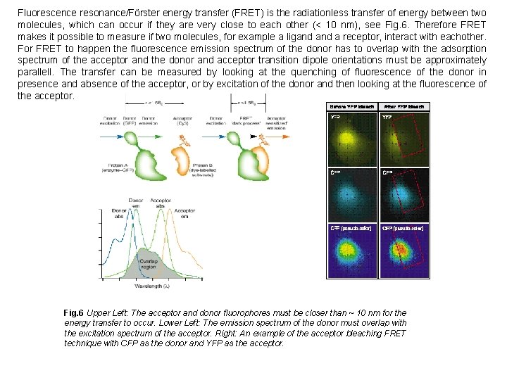 Fluorescence resonance/Förster energy transfer (FRET) is the radiationless transfer of energy between two molecules,