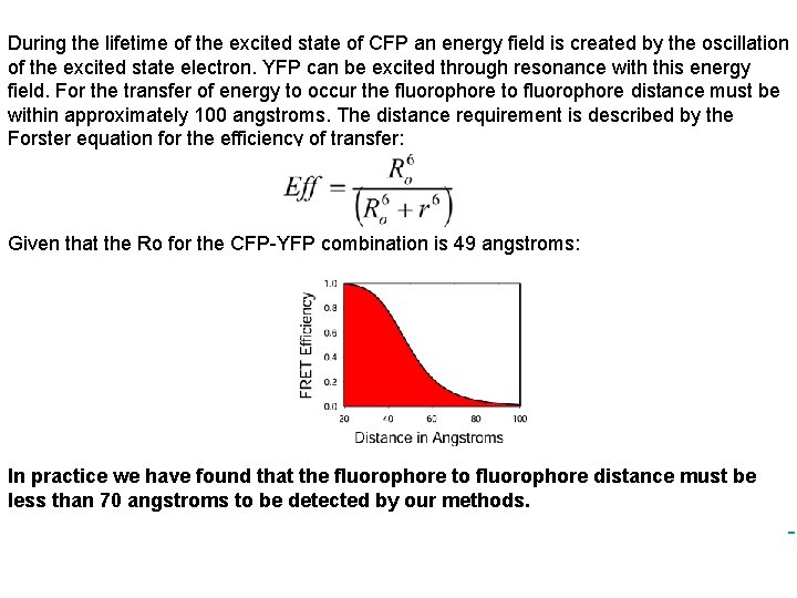 During the lifetime of the excited state of CFP an energy field is created