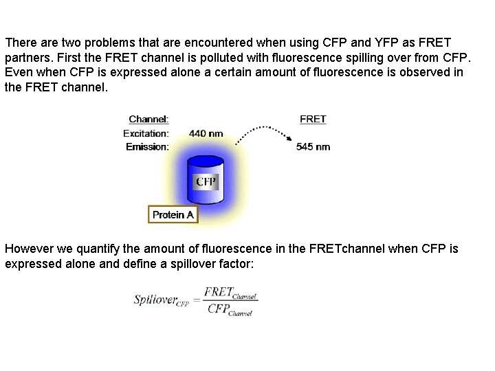 There are two problems that are encountered when using CFP and YFP as FRET