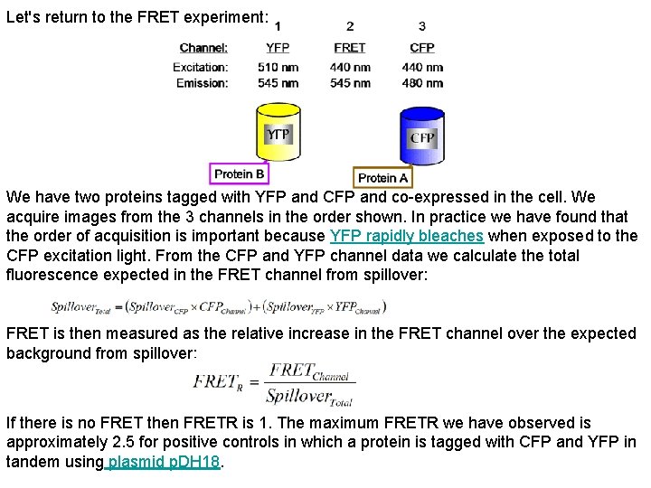 Let's return to the FRET experiment: We have two proteins tagged with YFP and