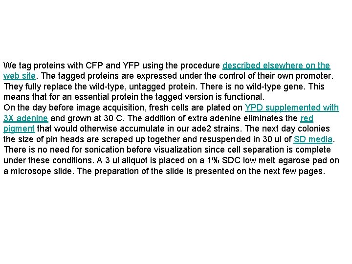 We tag proteins with CFP and YFP using the procedure described elsewhere on the