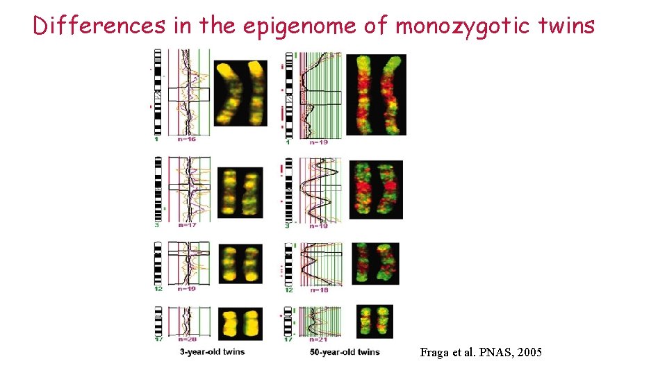 Differences in the epigenome of monozygotic twins Fraga et al. PNAS, 2005 