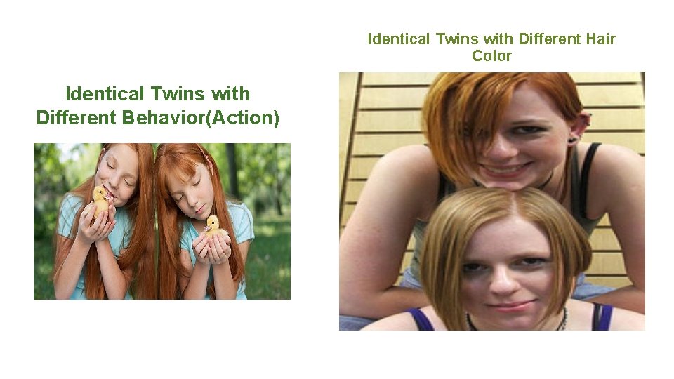 Identical Twins with Different Hair Color Identical Twins with Different Behavior(Action) 