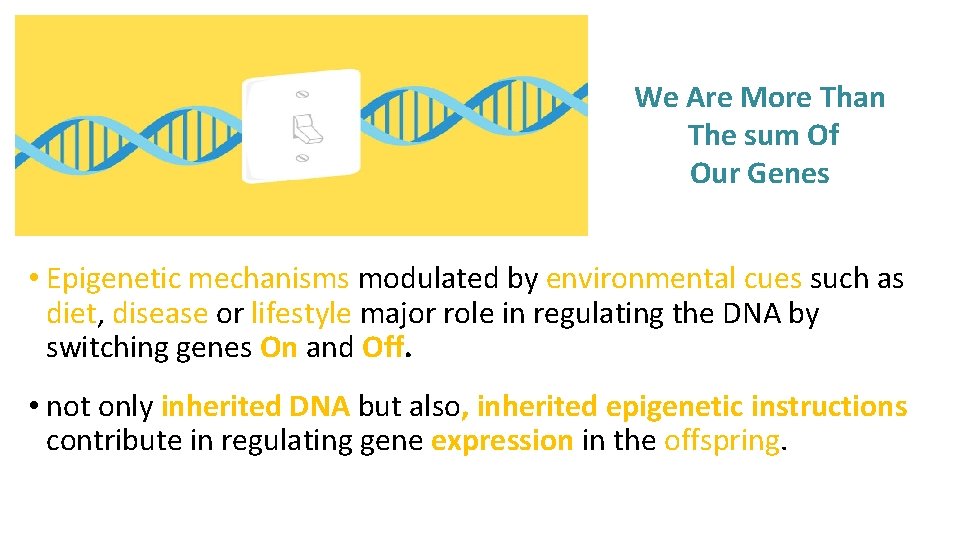 We Are More Than The sum Of Our Genes • Epigenetic mechanisms modulated by