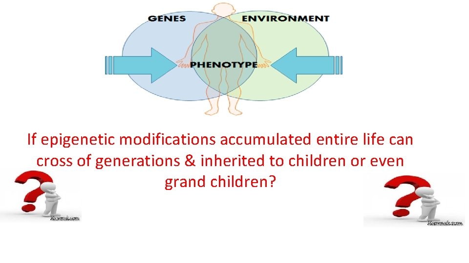 If epigenetic modifications accumulated entire life can cross of generations & inherited to children