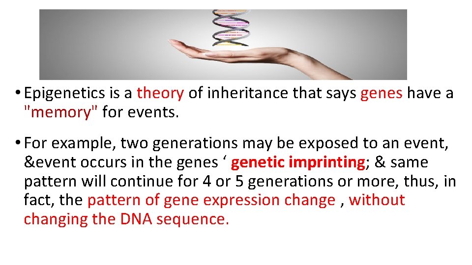  • Epigenetics is a theory of inheritance that says genes have a "memory"